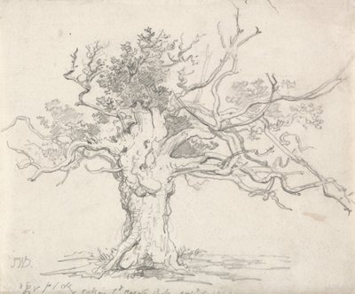 Stunted Oak autorstwa James Ward