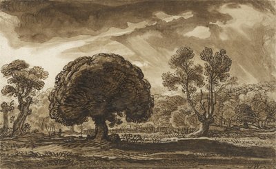 An Approaching Storm (pióro i brązowy tusz na papierze) autorstwa James Ward