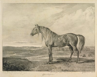 Kopenhaga, z „Celebrated Horses”, zestaw czternastu rycin wyścigowych wydanych przez artystę, 1823-24 autorstwa James Ward