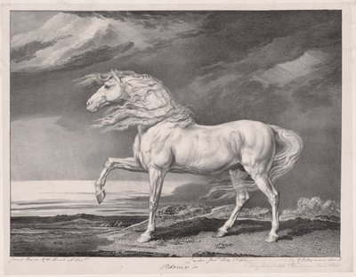 Czternaście celebrowanych koni: Adonis, 1824. autorstwa James Ward