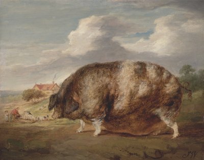 Gloucestershire Old Spot autorstwa James Ward