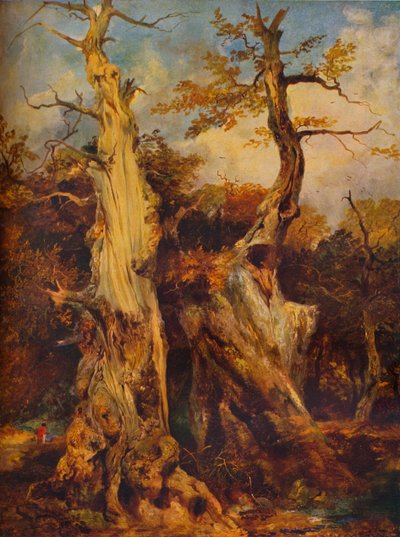 W Puszczy, XIX w. autorstwa James Ward