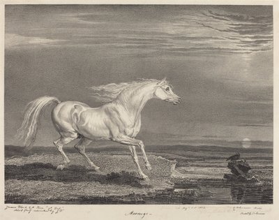 Marengo autorstwa James Ward