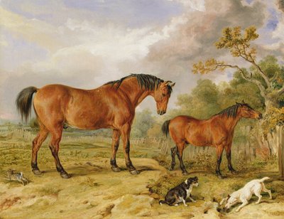 Portret reformatora, Bluchera, Torysa i szopki, własność Rowlanda Alstona, Esq. autorstwa James Ward