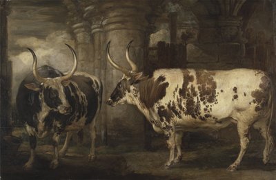 Portrety dwóch niezwykłych wołów, własność hrabiego Powis autorstwa James Ward