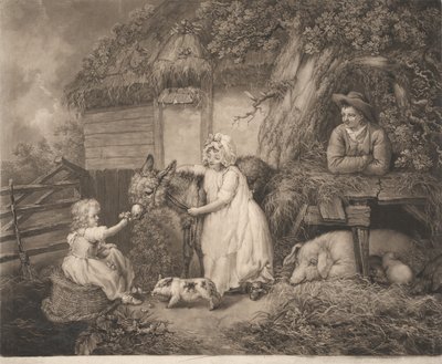 Rustykalna Felicity autorstwa James Ward