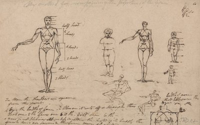 Badania anatomii, pomiary i pisanie autorstwa James Ward