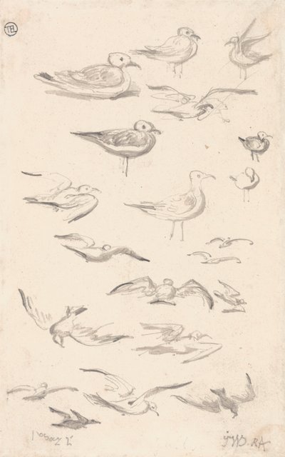 Estudos de Gullspolish autorstwa James Ward