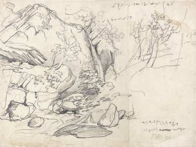 Studium góry z drzewami (czarna kreda na papierze) autorstwa James Ward