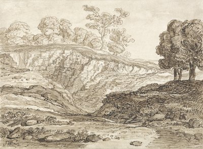 The Quarry (pióro i brązowy tusz z brązowym praniem na papierze) autorstwa James Ward