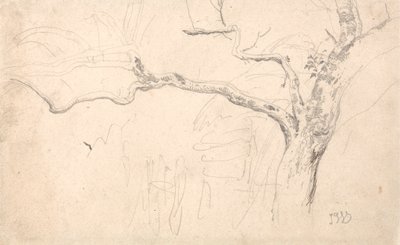 Studium drzewa autorstwa James Ward