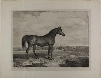 Walton autorstwa James Ward