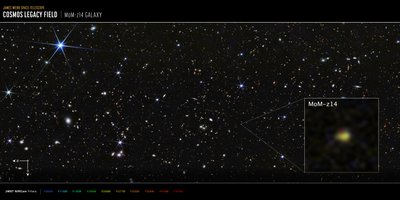 Galaktyka MoM-z14 z pola COSMOS (zdjęcie z kamery NIRCam) autorstwa James Webb Space Telescope (NASA)