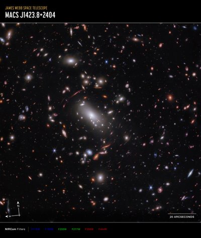 Gromada galaktyk MACS J1423 (zdjęcie wykonane kamerą NIRCam w trybie Compass) autorstwa James Webb Space Telescope (NASA)