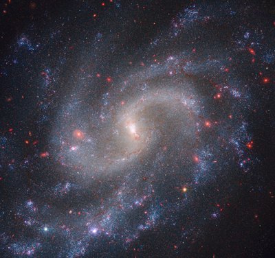 NGC 5584 (Webb NIRCam + Hubble WFC3) autorstwa James Webb Space Telescope (NASA)