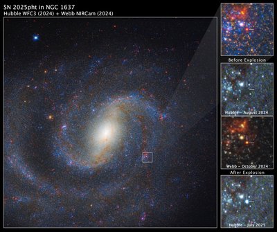SN 2025pht w NGC 1637 autorstwa James Webb Space Telescope (NASA)