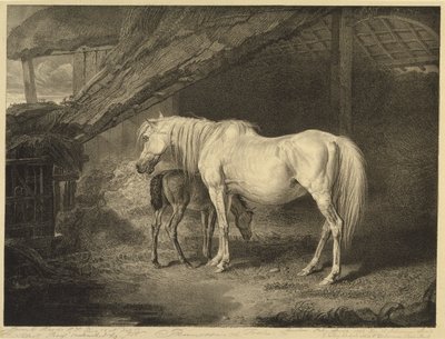 Pierwiosnek i źrebię, z Celebrated Horses, zestaw czternastu rycin wyścigowych wydanych przez artystę, 1823-24 autorstwa James after Ward