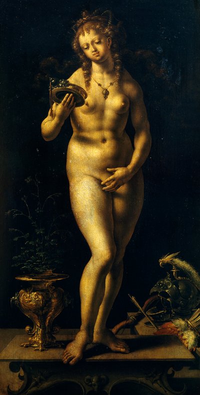 Wenus (olej na panelu) autorstwa Jan (c.1472 c.1533) Gossaert
