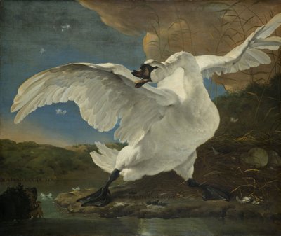 Zagrożony łabędź, ok.1650 autorstwa Jan Asselyn