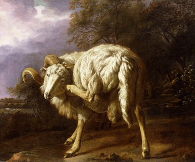 Baran w zalesionym krajobrazie, autorstwa Jan Baptist Weenix