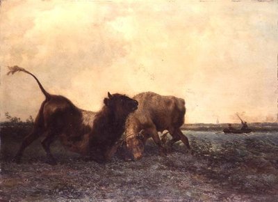 Walka Byków autorstwa Jan Bedys Tom