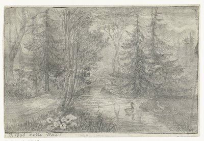 Staw leśny z kaczkami autorstwa Jan Bos Wz. (signed by artist)