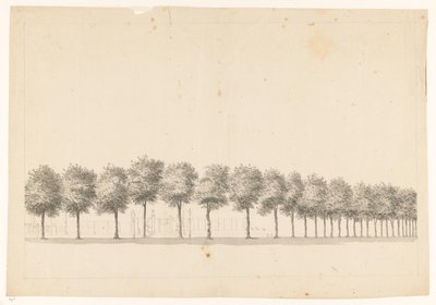 Bomenallee w Batawii autorstwa Jan Brandes