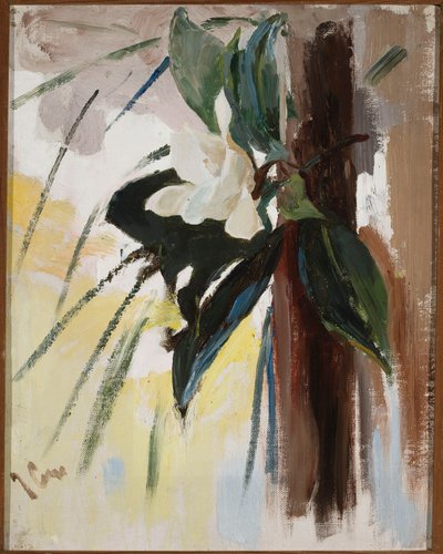 Magnolia autorstwa Jan Ciągliński