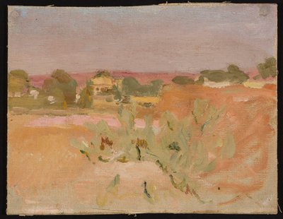 Rosa Landschaft mit Kakteen. Aus einer Reise nach Indien autorstwa Jan Ciągliński