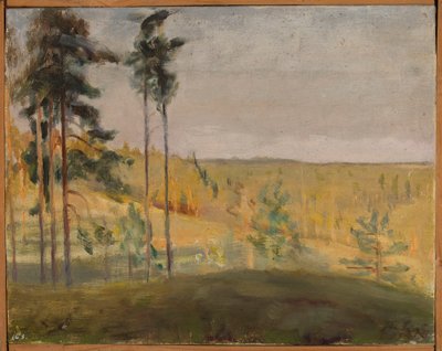 Terioki - Finlandia autorstwa Jan Ciągliński