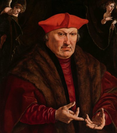 Portret Erarda de la Marck Portret van Erarda de la Marck autorstwa Jan Cornelisz Vermeyen
