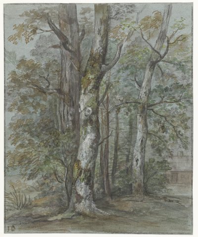 Badanie drzewa autorstwa Jan Dasveldt