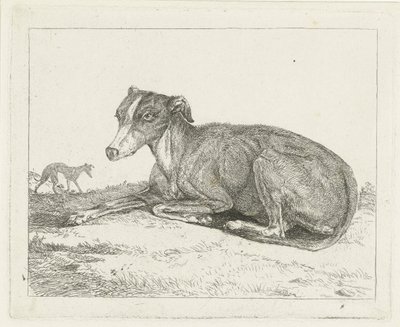 charty autorstwa Jan Dasveldt