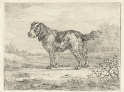 Spaniel stojący w krajobrazie autorstwa Jan Dasveldt