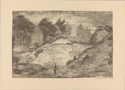 Heath w pobliżu Laren autorstwa Jan Fekkes (signed by artist)