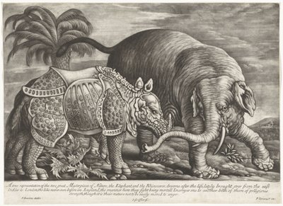 Olifant en neushoorn Prawdziwe przedstawienie dwóch wielkich arcydzieł natury, słonia i nosorożca (tytuł na obiekcie) autorstwa Jan Griffier (I)