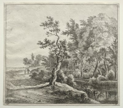 Serpentine Road autorstwa Jan Hackaert