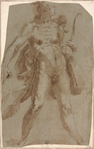 Apollo autorstwa Jan Harmensz. Muller