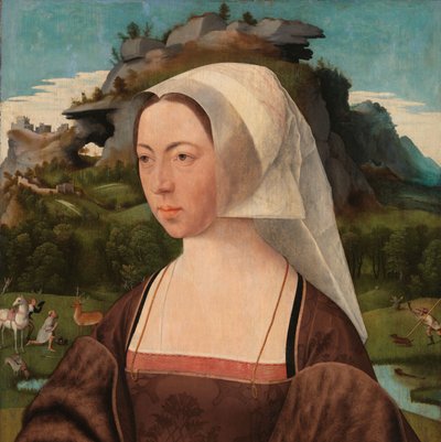 Portret nieznanej kobiety Portret kobiety autorstwa Jan Jansz Mostaert