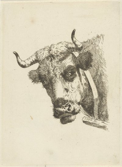 krowa głowa autorstwa Jan Kobell (II)