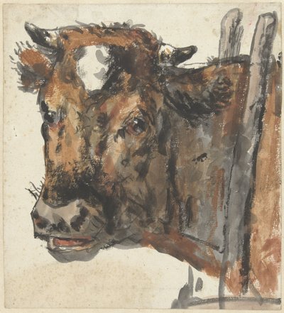 Głowa krowy autorstwa Jan Kobell (II)
