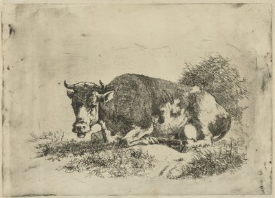 Leżąca krowa autorstwa Jan Kobell (III)