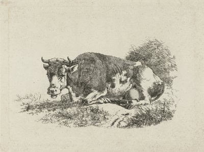 Leżąca krowa autorstwa Jan Kobell (III)