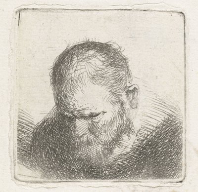mężczyzna z brodą autorstwa Jan Lievens (possibly)