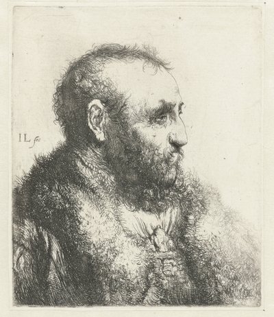 Popiersie starca w futrze autorstwa Jan Lievens