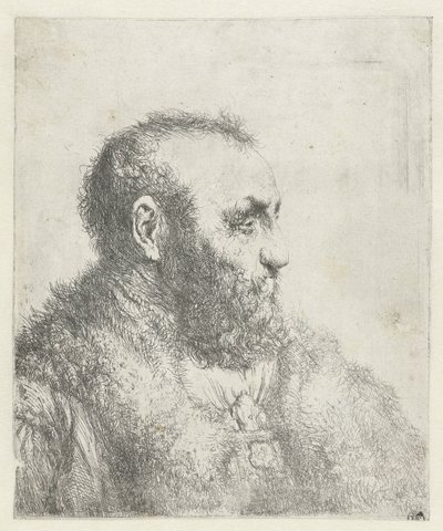 Popiersie starca w futrze autorstwa Jan Lievens