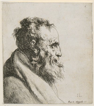 Portret piersiowy brodatego, starego mężczyzny, widzianego z profilu w prawo autorstwa Jan Lievens