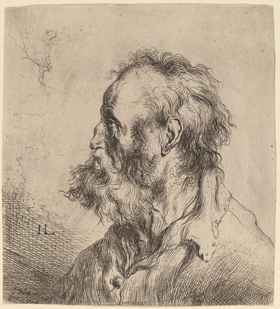 Popiersie brodatego starca autorstwa Jan Lievens