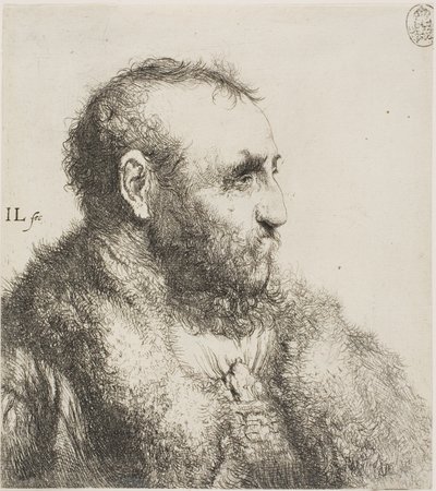 Popiersie starego człowieka autorstwa Jan Lievens
