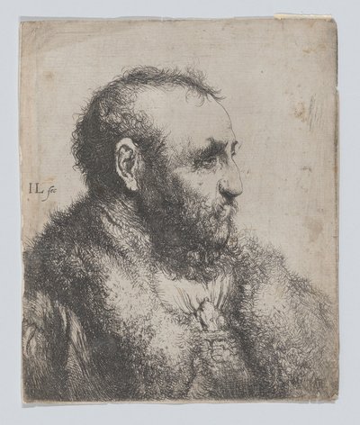 Popiersie starego mężczyzny w futrzanym kołnierzu autorstwa Jan Lievens